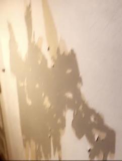 Image from job nr 1