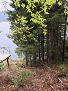 Image from job nr 1