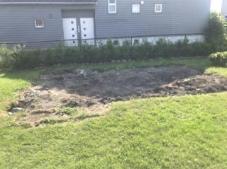 Image from job nr 1