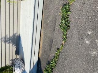 Image from job nr 1