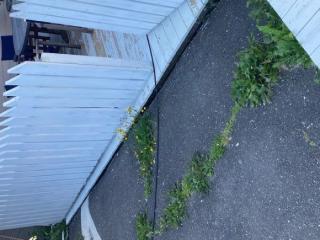 Image from job nr 2