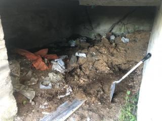 Image from job nr 2