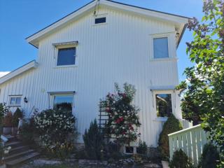 Image from job nr 3