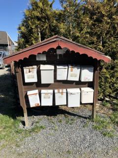 Image from job nr 1