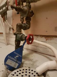Image from job nr 1