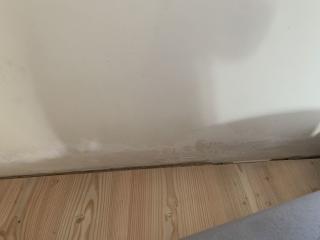Image from job nr 5