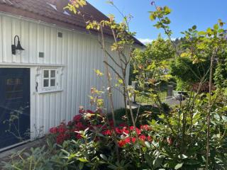 Image from job nr 1