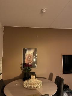 Lampen over spisebordet skal henges her. Ingen krok i tak, men stikkontakt i taket pu00e5 andre siden av rommet
