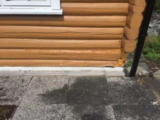 Image from job nr 1