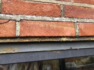 Image from job nr 4