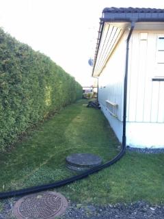Image from job nr 1