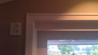 Image from job nr 5