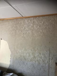 Image from job nr 1