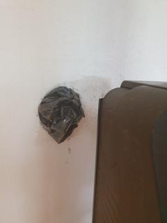 Image from job nr 1