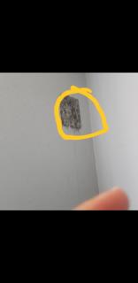 Image from job nr 2