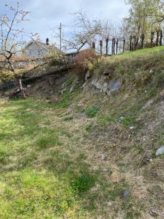 Image from job nr 2