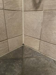 Image from job nr 1