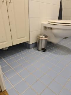 Image from job nr 1