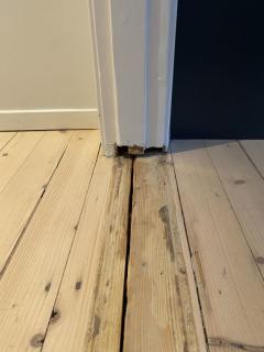 Image from job nr 1