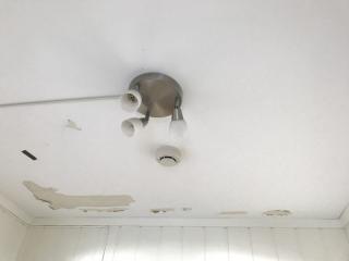 Image from job nr 1