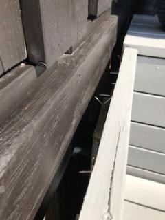 Image from job nr 5