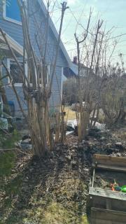 Image from job nr 1