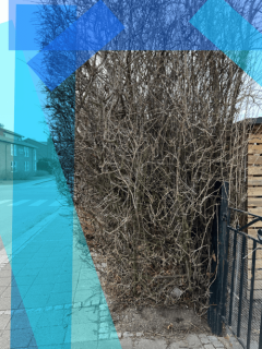 Image from job nr 2
