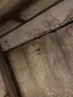 Image from job nr 3