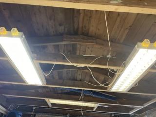 Image from job nr 2
