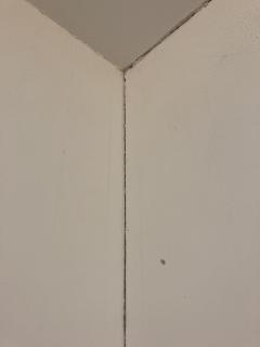 Image from job nr 2