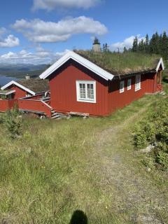 Image from job nr 2