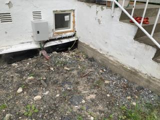 Image from job nr 1