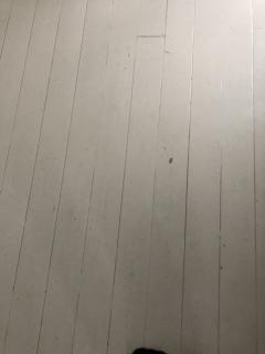 Image from job nr 3