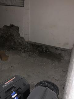 Image from job nr 1