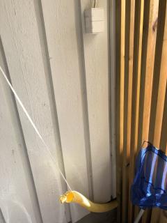 Image from job nr 1