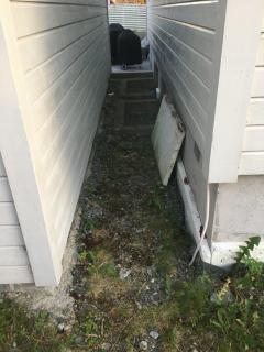 Image from job nr 3
