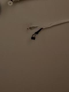 Image from job nr 1