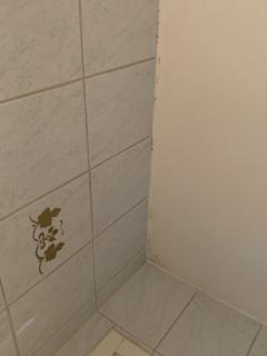 Image from job nr 3