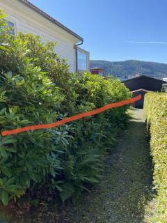 Image from job nr 4