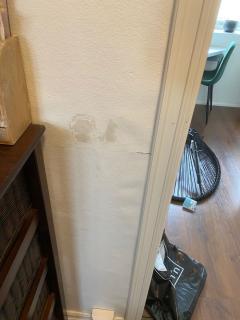 Image from job nr 1