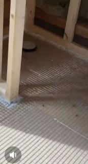 Image from job nr 3
