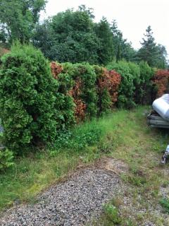 Image from job nr 2