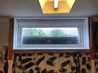 Image from job nr 1