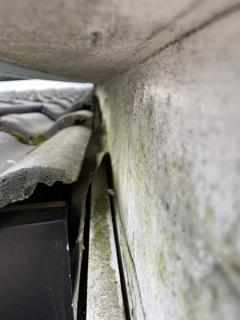 innside 2
