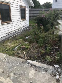 Image from job nr 4