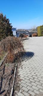 Image from job nr 3