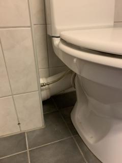 Image from job nr 1