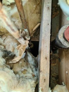 Image from job nr 1