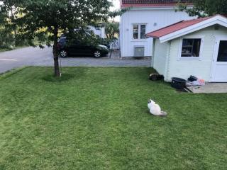 Image from job nr 1