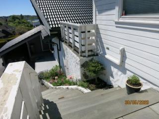 Image from job nr 1